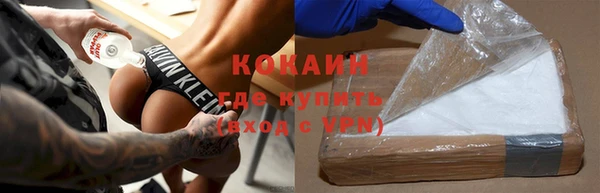 хмурый Тайга