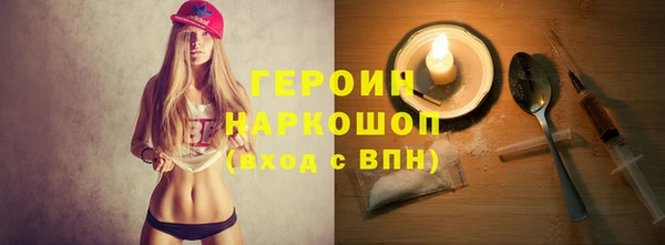 хмурый Тайга
