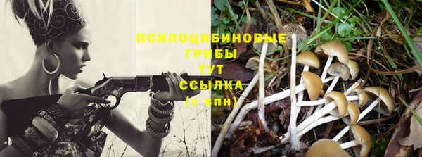 бутират Сясьстрой