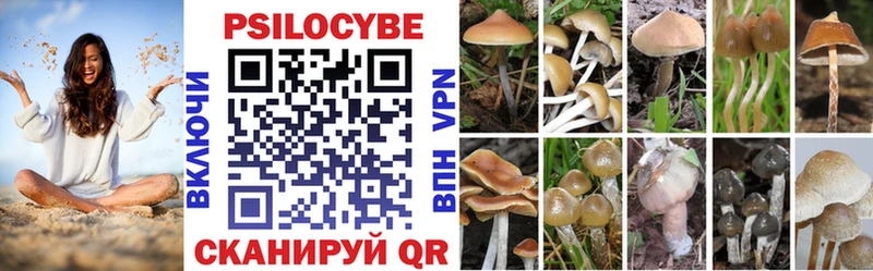 Галлюциногенные грибы Magic Shrooms  Семёнов 