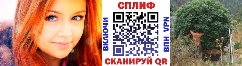 Канабис Amnesia  как найти закладки  гидра как зайти  Семёнов 